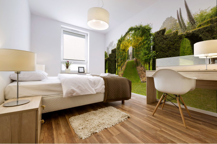 Laburnum Arch in full bloom over grass path Mural print