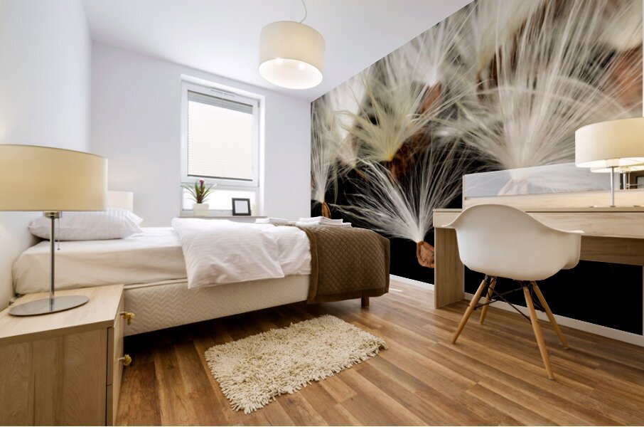 Macro photo of swamp milkweed seed pod Mural print