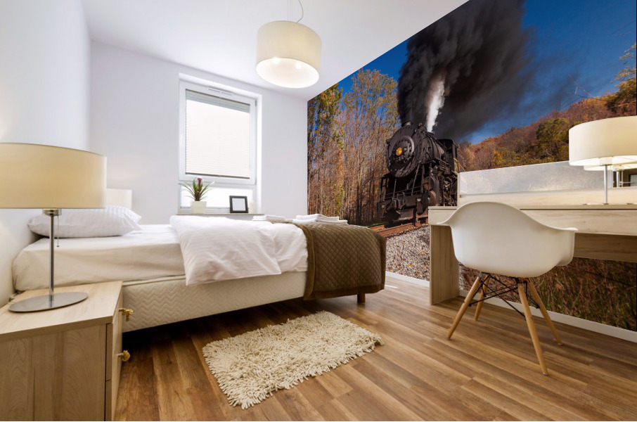 WMRR Steam train powers along railway Mural print