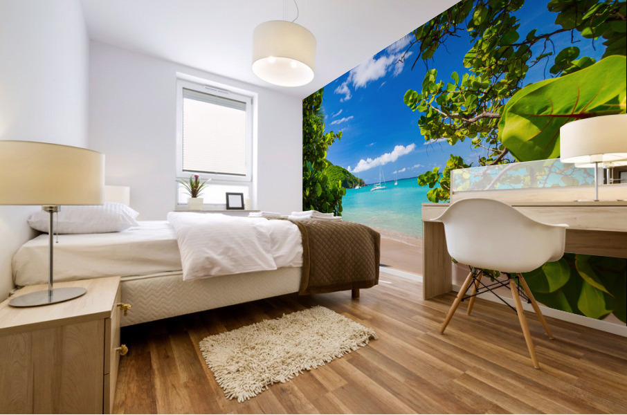 Glorious beach at Anse Marcel on St Martin Mural print