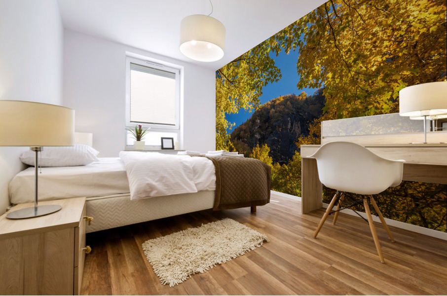 View of the rocky peaks of Smugglers Notch Mural print