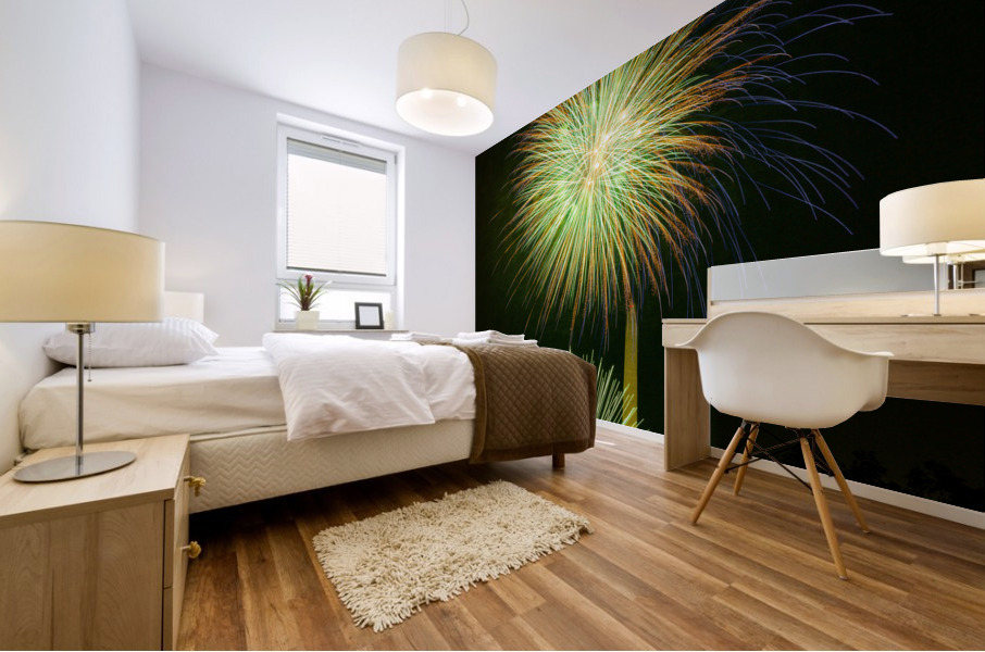 Fireworks over Washington DC on July 4th Mural print