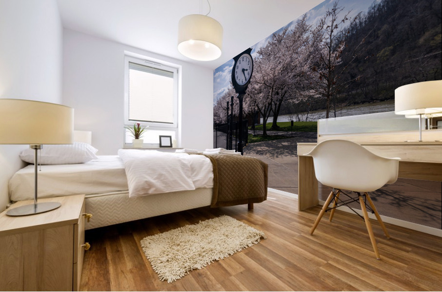 Old fashioned clock by the bike walking trail over Deckers Creek Mural print