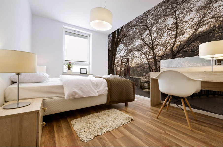 Steel girder bridge carries the bike walking trail over Deckers  Mural print