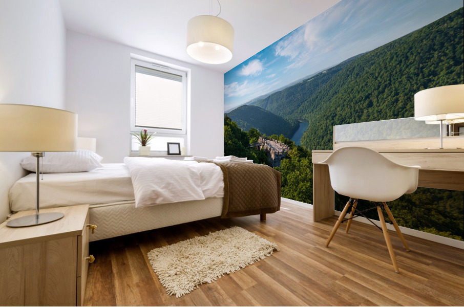 Aerial panorama of Cheat River Gorge Mural print