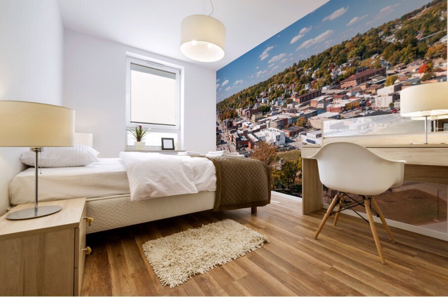 Townscape of Hannibal in Missouri  home of Mark Twain Mural print