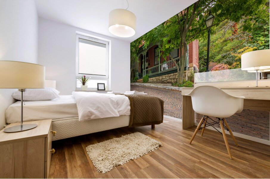 Porch of house on Snake Alley in Burlington Iowa Mural print