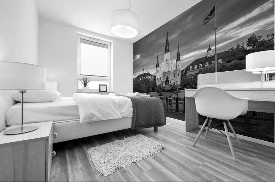 Monochrome view of Cathedral Basilica of Saint Louis Mural print