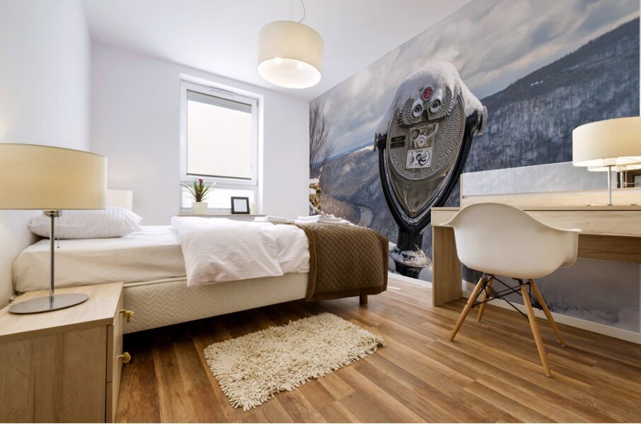 Binoculars on Coopers Rock overlook on snowy day Mural print