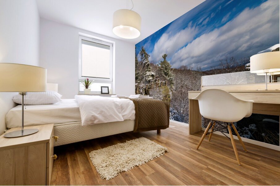 Coopers Rock overlook covered in winter snow near Morgantown Impression murale