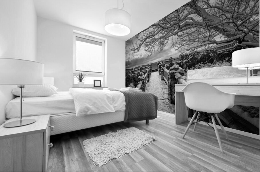 BW Coopers Rock overlook on snow-covered pathway Mural print