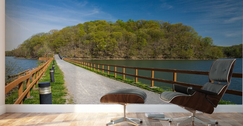 Pathway to spring leaves in Cheat Lake Morgantown WV Wall Murals