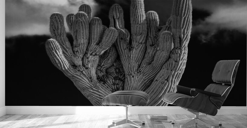 Crested Saguaro in National Park West in monochrome Wall Murals