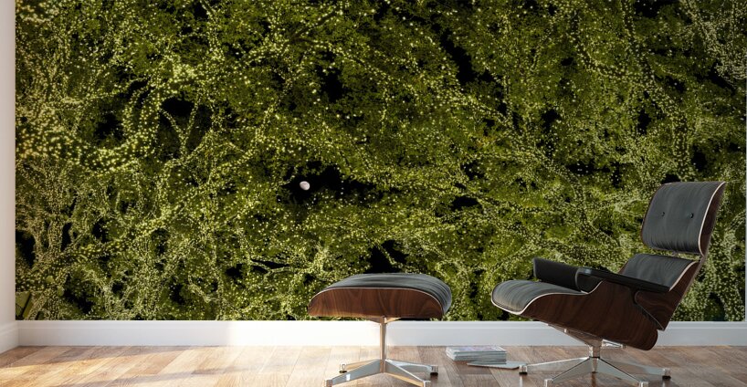 Holiday lights spectacular in trees of Johnson City Texas Wall Murals