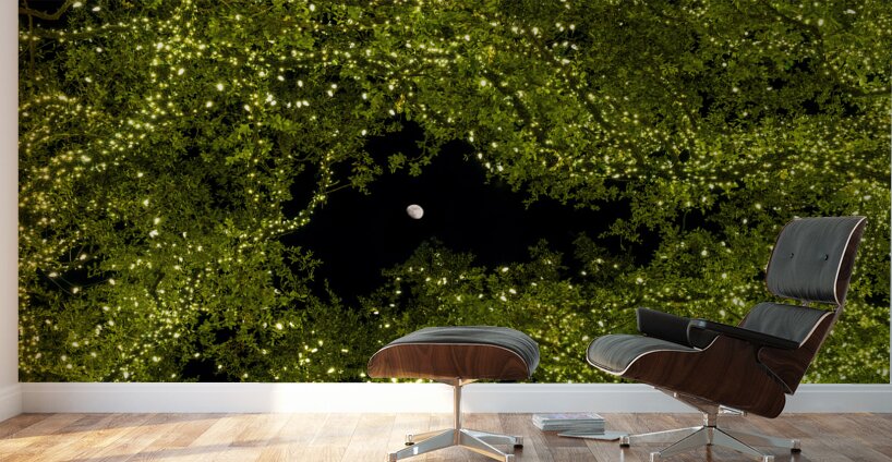 Holiday lights spectacular in trees of Johnson City Texas Wall Murals