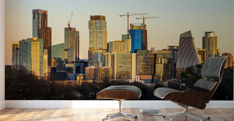Cityscape of downtown Austin from the west in Zilker park 2025 Wall Murals