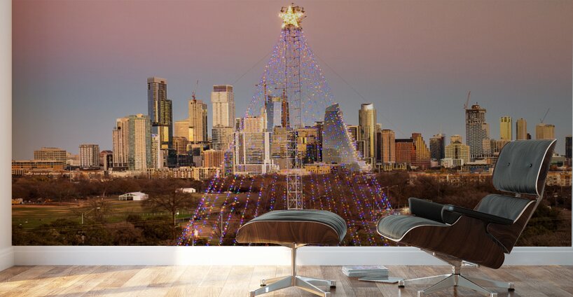 Cityscape of downtown Austin from the west in Zilker park 2025 Wall Murals