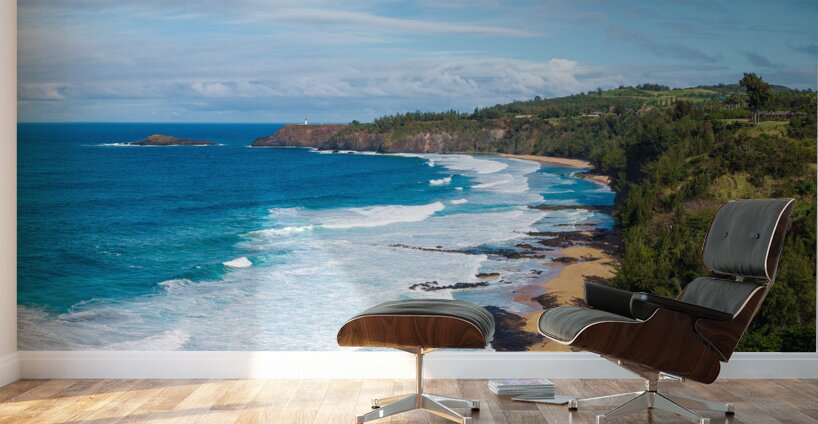 Overhead view of Kauapea or Secret beach to Kilauea lighthouse Wall Murals
