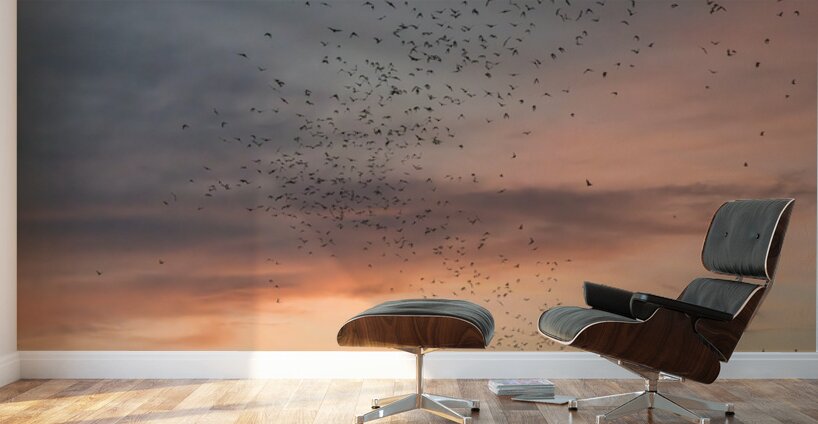 Bat watchers crowd on Congress Avenue bridge as bats fly  Wall Murals