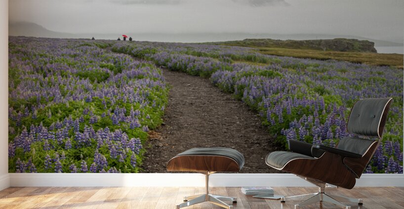 Path from the bird watching cliffs at Skalanes Nature Center Wall Murals