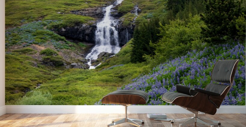 Waterfall in Tunhudalur valley near Isafjordur Iceland with lupi Wall Murals