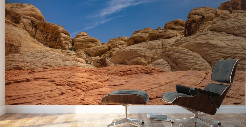 Sandstone formations on the Calico Tanks trail in Red Rock Canyo Wall Murals