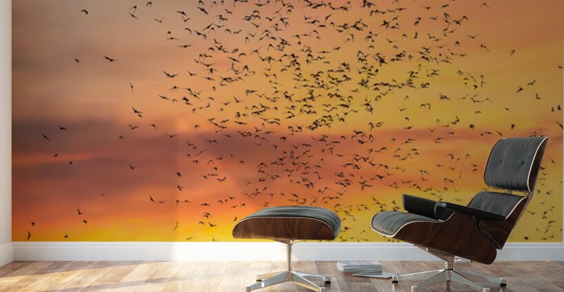 Bat watchers crowd on Congress Avenue bridge with bats Wall Murals