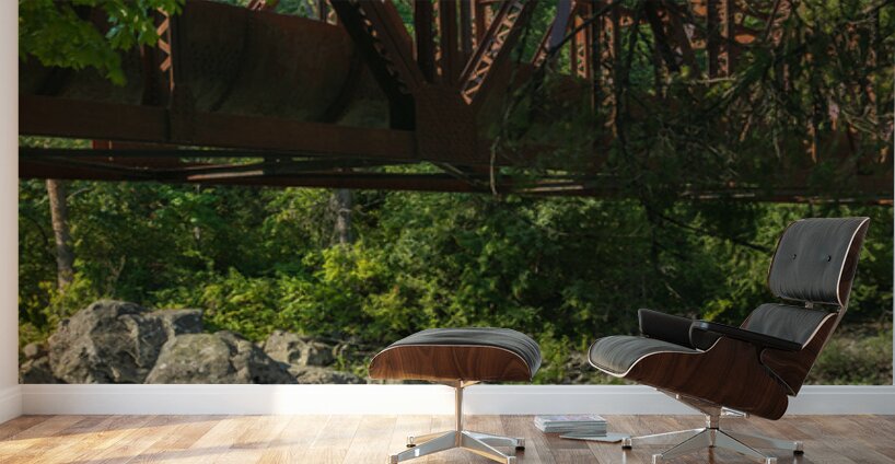 Tumwater Canyon pipeline bridge over Wenatchee River in Washingt Wall Murals