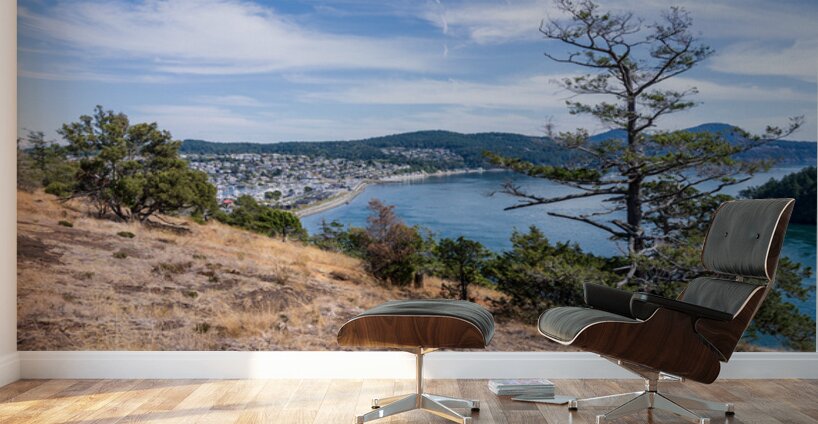 View from the Washington Park overlook over the town of Anacorte Wall Murals