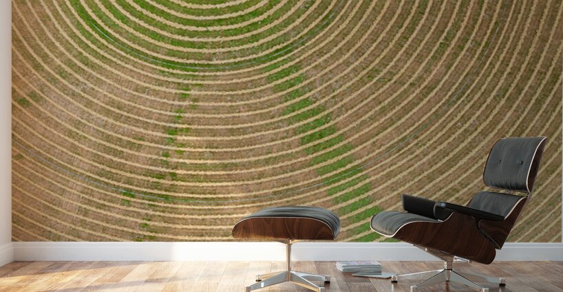 Circular pattern of crops in fields seen from drone near Winthro Wall Murals