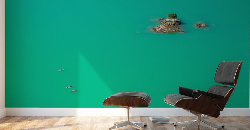 Three paddleboards float away from island in Diablo Lake in Nort Wall Murals