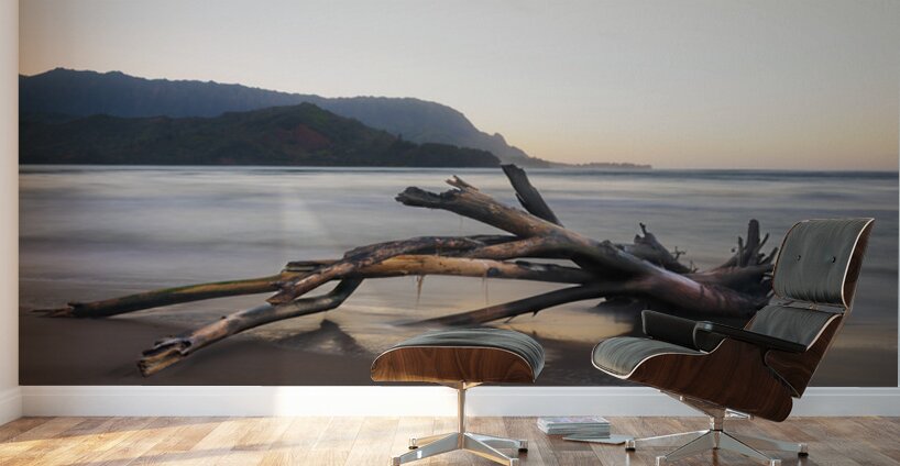Whisper of the Tide driftwood on Hanalei bay beach at sunrise Wall Murals