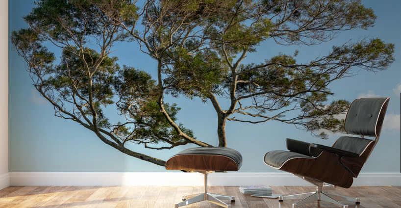Panorama of Waikiki and Honolulu from Tantalus Overlook on Oahu Wall Murals