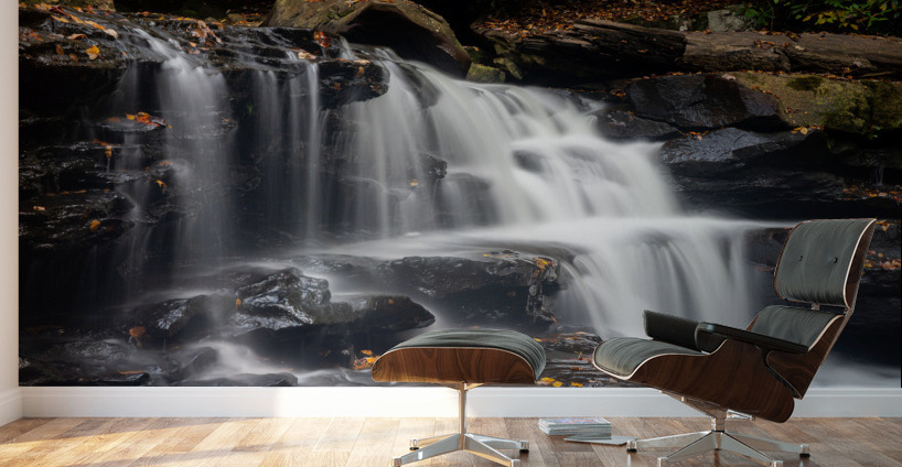Side view of waterfall on Deckers Creek near Masontown Wall Murals