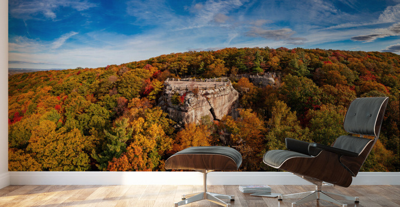 Coopers Rock state park overlook in West Virginia with fall colors Wall Murals