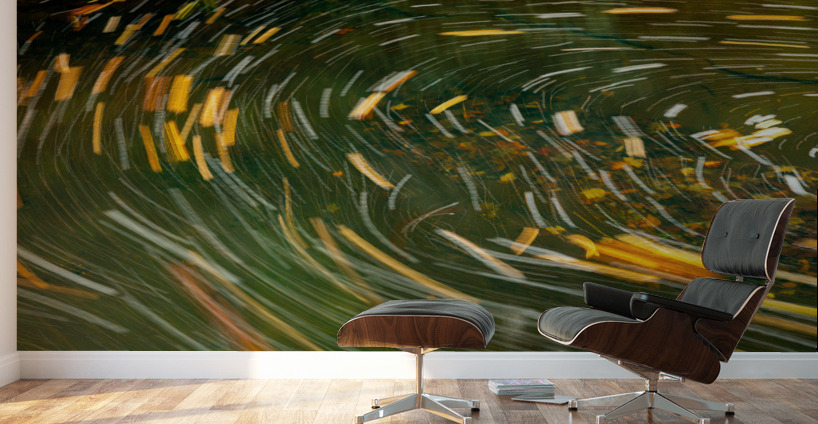 Swirling leaves on Deckers Creek Wall Murals