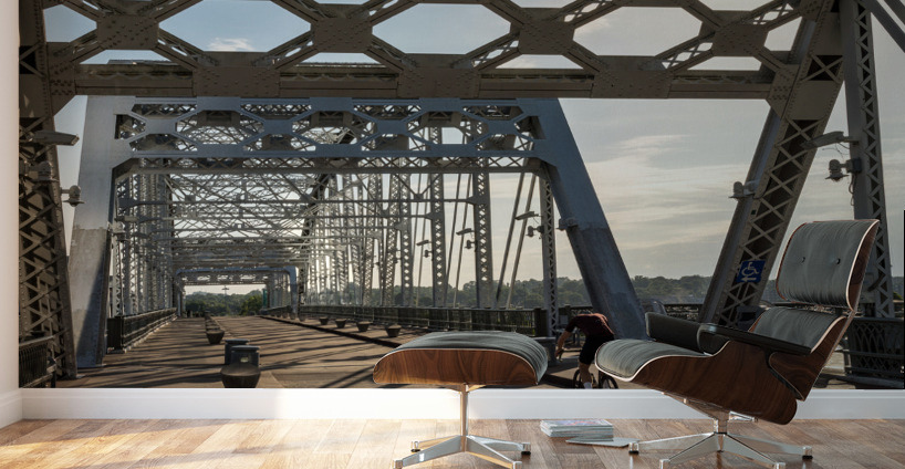 Cyclist on John Seigenthaler pedestrian bridge or Shelby street crossing Wall Murals