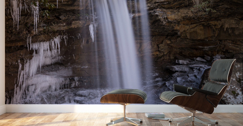 Cucumber Falls in the Ohiopyle State Park in winter Wall Murals