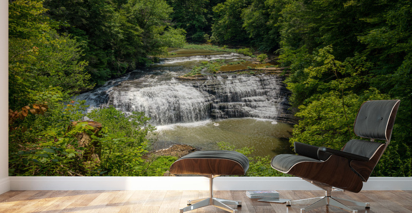 Burgess Falls in Tennessee in summer Wall Murals