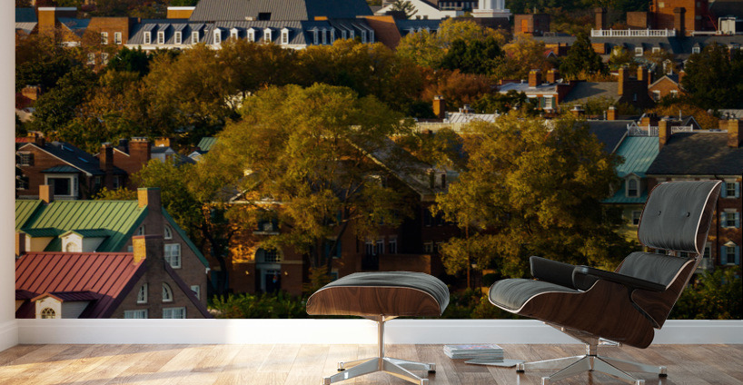 Waterfront of city of Alexandria in Virginia at sunset Wall Murals