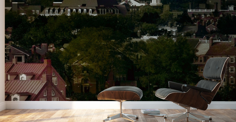 Moody view of city of Alexandria in Virginia at sunset Wall Murals