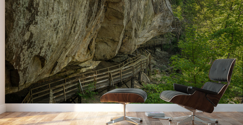 Pathway in Audra State Park near Buckhannon in West Virginia Wall Murals