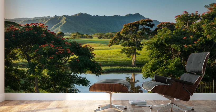 Striking landscape of garden island of Kauai Wall Murals