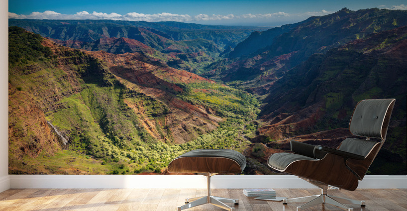 View down Waimea Canyon on Kauai Wall Murals