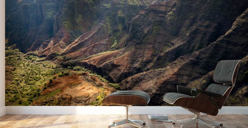 Waimea Canyon detail Wall Murals