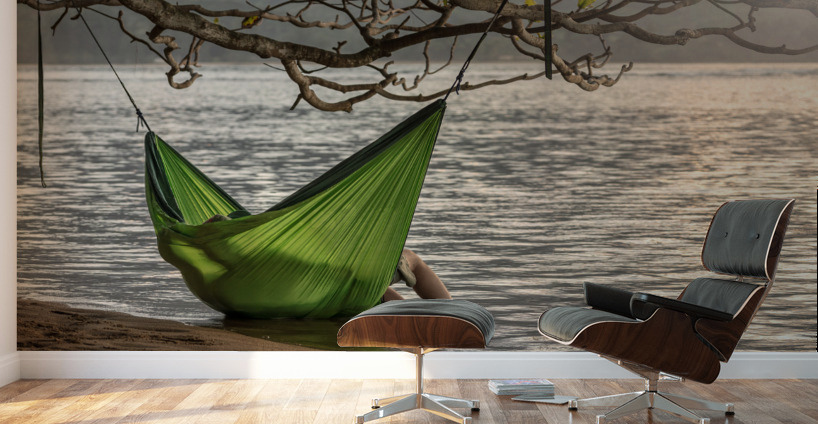 Just Chilling on Kauai Wall Murals