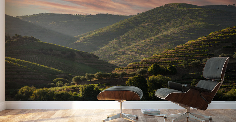 Terraced vineyard on the banks of the Douro Wall Murals