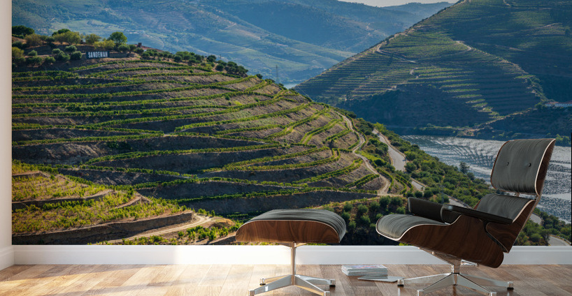 Rows of grape vines in Quinta do Seixo by the Duoro Wall Murals