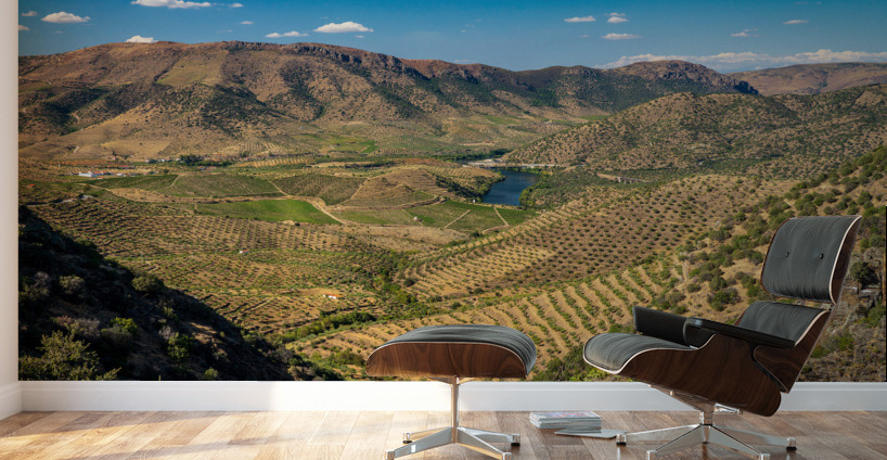 View from Miradouro Alto da Sapinha Wall Murals