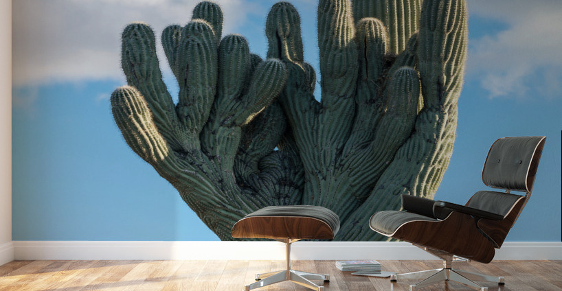 Crested Saguaro in National Park West Wall Murals